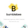 Bumblebee-Web-Design-Agency-Theme-Nulled-300x169